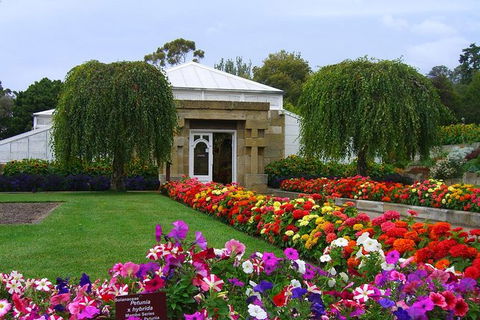 Hobart City Sightseeing Tour Including MONA Admission - Foster Accommodation 1