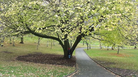Hobart City Sightseeing Tour Including MONA Admission - Foster Accommodation 3