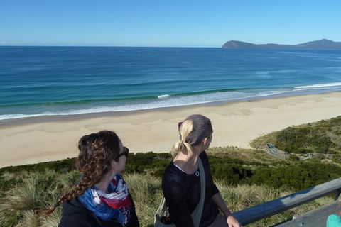Small-Group Day Trip From Hobart To Bruny Island - Foster Accommodation 9