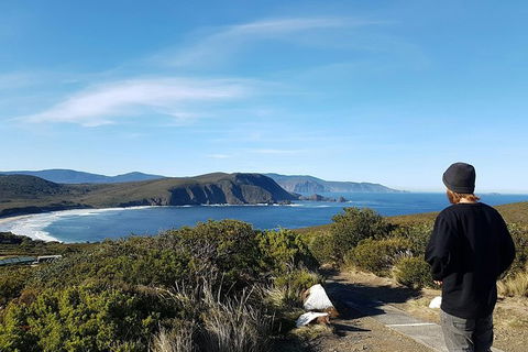 Small-Group Day Trip From Hobart To Bruny Island - Foster Accommodation 6