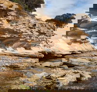 Maria Island premium private photo-oriented day tour from Hobart - Foster Accommodation