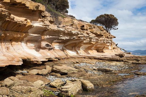 Maria Island Premium Private Photo-oriented Day Tour From Hobart - Foster Accommodation 2