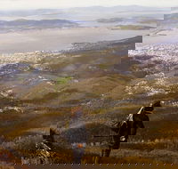 Mt Wellington Half Day Guided Summit Hike - Foster Accommodation