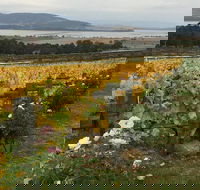 Mona and Wine Experience Tour - Foster Accommodation
