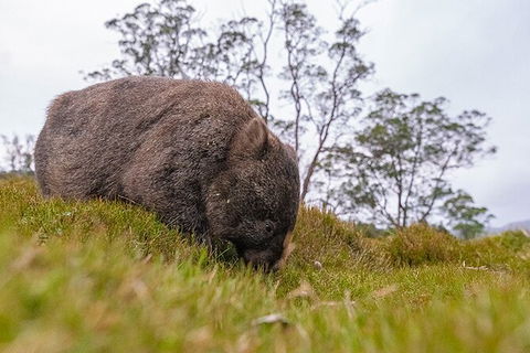 3-Day Cradle Mountain Photography Workshop - Foster Accommodation 7