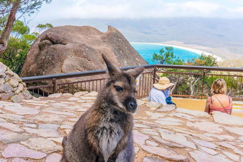 Wineglass Bay & Freycinet NP Full Day Tour From Hobart Via Richmond Village - Foster Accommodation 0