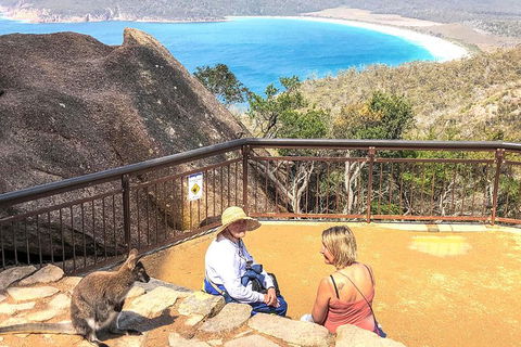 Wineglass Bay & Freycinet NP Full Day Tour From Hobart Via Richmond Village - Foster Accommodation 7