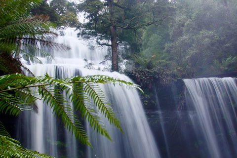 Mt. Field National Park And Bonorong Wildlife Park - Foster Accommodation 1
