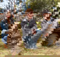 Bonorong Wildlife Park and Richmond Afternoon Tour from Hobart - Foster Accommodation