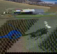 Bangor Vineyard Shed Helicopter Tour - Foster Accommodation