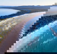 Maria Island Cruise  Walk. Renowned day tour with drinks and guided walk - Foster Accommodation