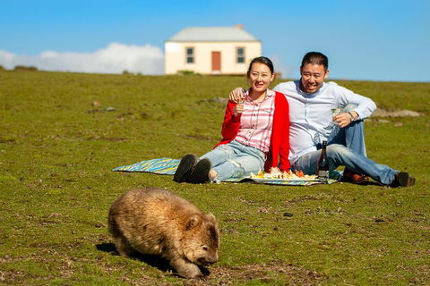 Wineglass Bay And Maria Island Wildlife Scenic Flight From Hobart - Foster Accommodation 2