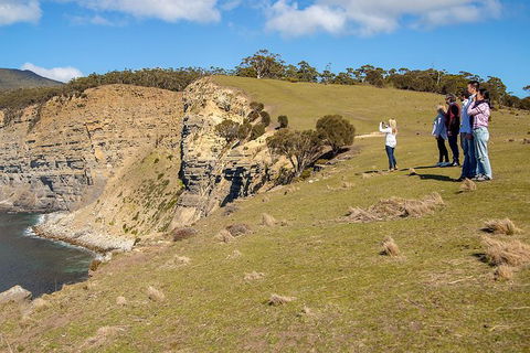 Wineglass Bay And Maria Island Wildlife Scenic Flight From Hobart - Foster Accommodation 5