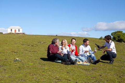 Wineglass Bay And Maria Island Wildlife Scenic Flight From Hobart - Foster Accommodation 6