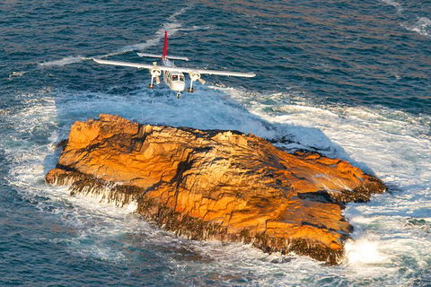 Wineglass Bay And Maria Island Wildlife Scenic Flight From Hobart - Foster Accommodation 7