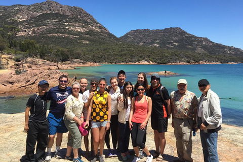 Active Day Tour One-Way From Hobart To Launceston With Wineglass Bay - Foster Accommodation 10