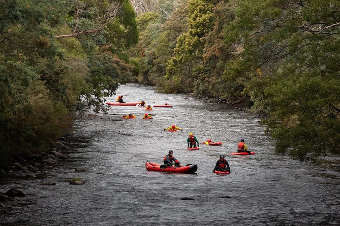 Mount Stuart TAS Foster Accommodation
