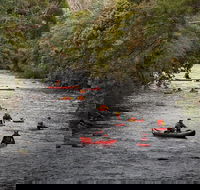 Meander Wilderness Experiences - Foster Accommodation