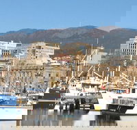 Private Mt Wellington Richmond Bonorong Wildlife Sanctuary Tour from Hobart - Foster Accommodation