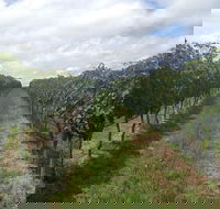 Coal River Valley  Hobart food  wine grazing tour - Foster Accommodation