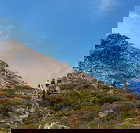Hartz Peak Hiking Tour - Hartz Mountains National Park - Foster Accommodation