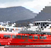 Mt Wellington and Harbour Cruise combo - Foster Accommodation