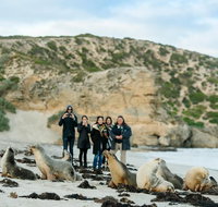 Small-Group Kangaroo Island 4WD Tour from Adelaide - Foster Accommodation