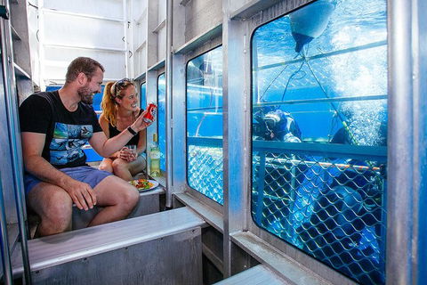 White Shark Tour With Optional Cage Dive From Port Lincoln - Foster Accommodation 4