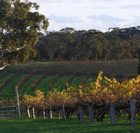 Barossa Valley with Hahndorf Tour from Adelaide - Foster Accommodation