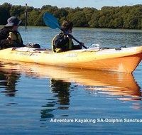 Adelaide Dolphin Sanctuary and Ships Graveyard Kayak Tour - Foster Accommodation