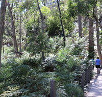 Self-Guided Waterfall Gully to Mount Lofty Hike from Adelaide - Foster Accommodation