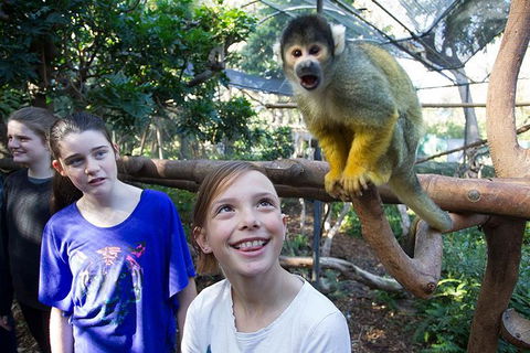 Adelaide Zoo Behind The Scenes Experience: Squirrel Monkey Feeding - Foster Accommodation 1