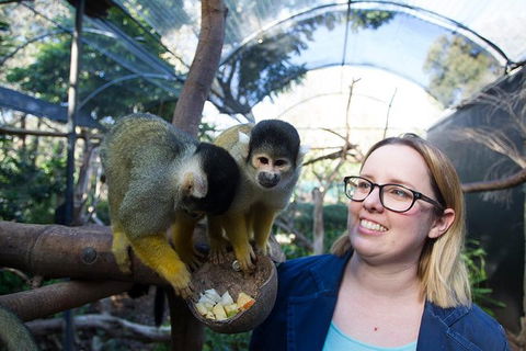 Adelaide Zoo Behind The Scenes Experience: Squirrel Monkey Feeding - Foster Accommodation 0