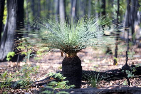 Adelaide To Melbourne 3-Day Trip Through Grampians And Great Ocean Road - Foster Accommodation 13