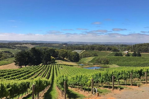 Small-Group Full-Day Adelaide Hills And Hahndorf Wine Tour From Adelaide - Foster Accommodation 2