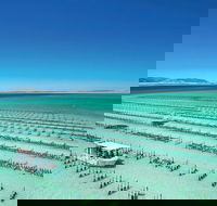 Coffin Bay Day Tour - A Taste of Coffin Bay - Foster Accommodation