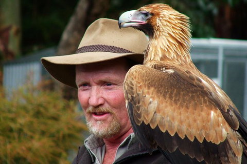 Kangaroo Island Wildlife Day Trip From Adelaide Including Seal Bay - Foster Accommodation 0