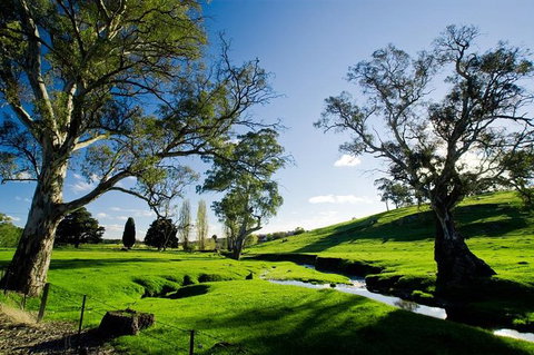 Adelaide Highlights And Hahndorf Tour With Optional River Cruise - Foster Accommodation 0