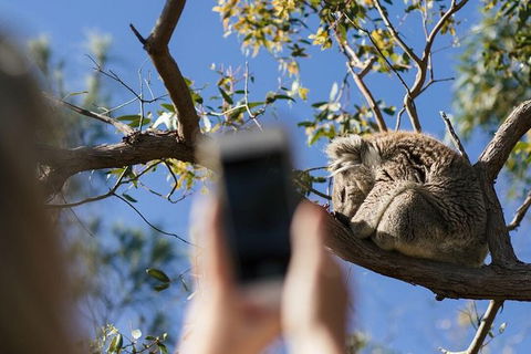 Exceptional Port Lincoln, Seafood And Wildlife Tour - Foster Accommodation 0