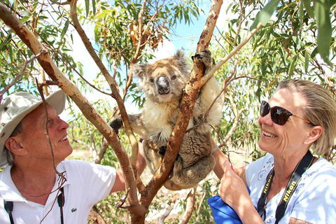 Exceptional Port Lincoln, Seafood And Wildlife Tour - Foster Accommodation 6