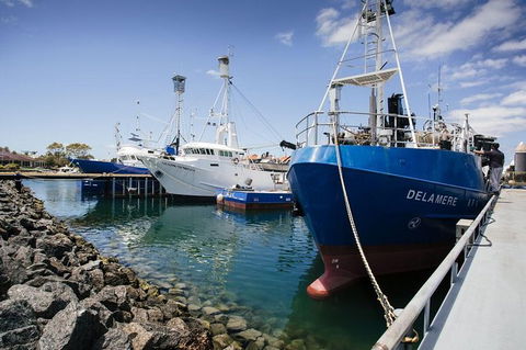 Exceptional Port Lincoln, Seafood And Wildlife Tour - Foster Accommodation 8