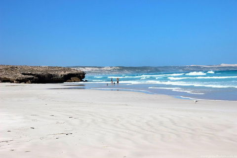 Exceptional Port Lincoln, Seafood And Wildlife Tour - Foster Accommodation 4