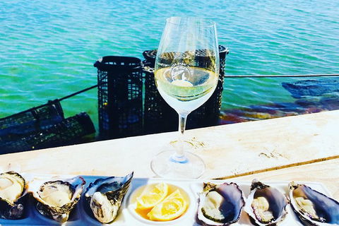 Oyster Farm And Tasting Tour With Hotel Pick-up And Return From Port Lincoln - Foster Accommodation 10