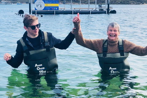 Oyster Farm And Tasting Tour With Hotel Pick-up And Return From Port Lincoln - Foster Accommodation 5