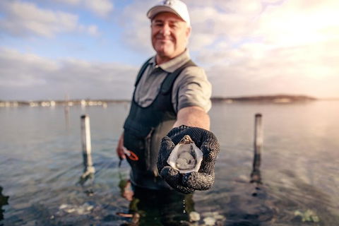Oyster Farm And Tasting Tour With Hotel Pick-up And Return From Port Lincoln - Foster Accommodation 3
