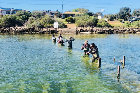 Oyster Farm And Tasting Tour With Hotel Pick-up And Return From Port Lincoln - Foster Accommodation 6