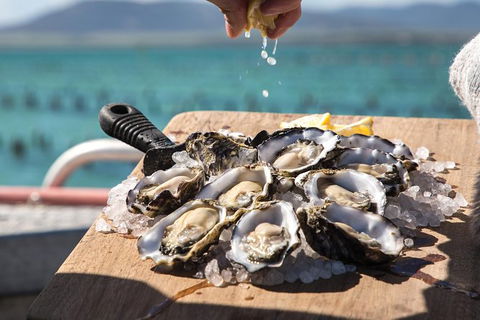 Experience Coffin Bay Short And Sweet Oyster Farm Tour - Foster Accommodation 0