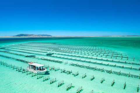 Experience Coffin Bay Short And Sweet Oyster Farm Tour - Foster Accommodation 5