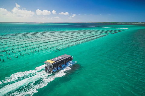 Experience Coffin Bay Short And Sweet Oyster Farm Tour - Foster Accommodation 2