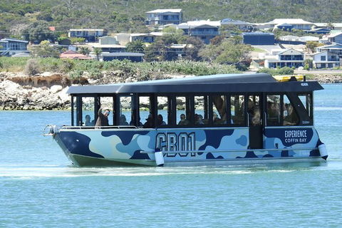 Experience Coffin Bay Short And Sweet Oyster Farm Tour - Foster Accommodation 9